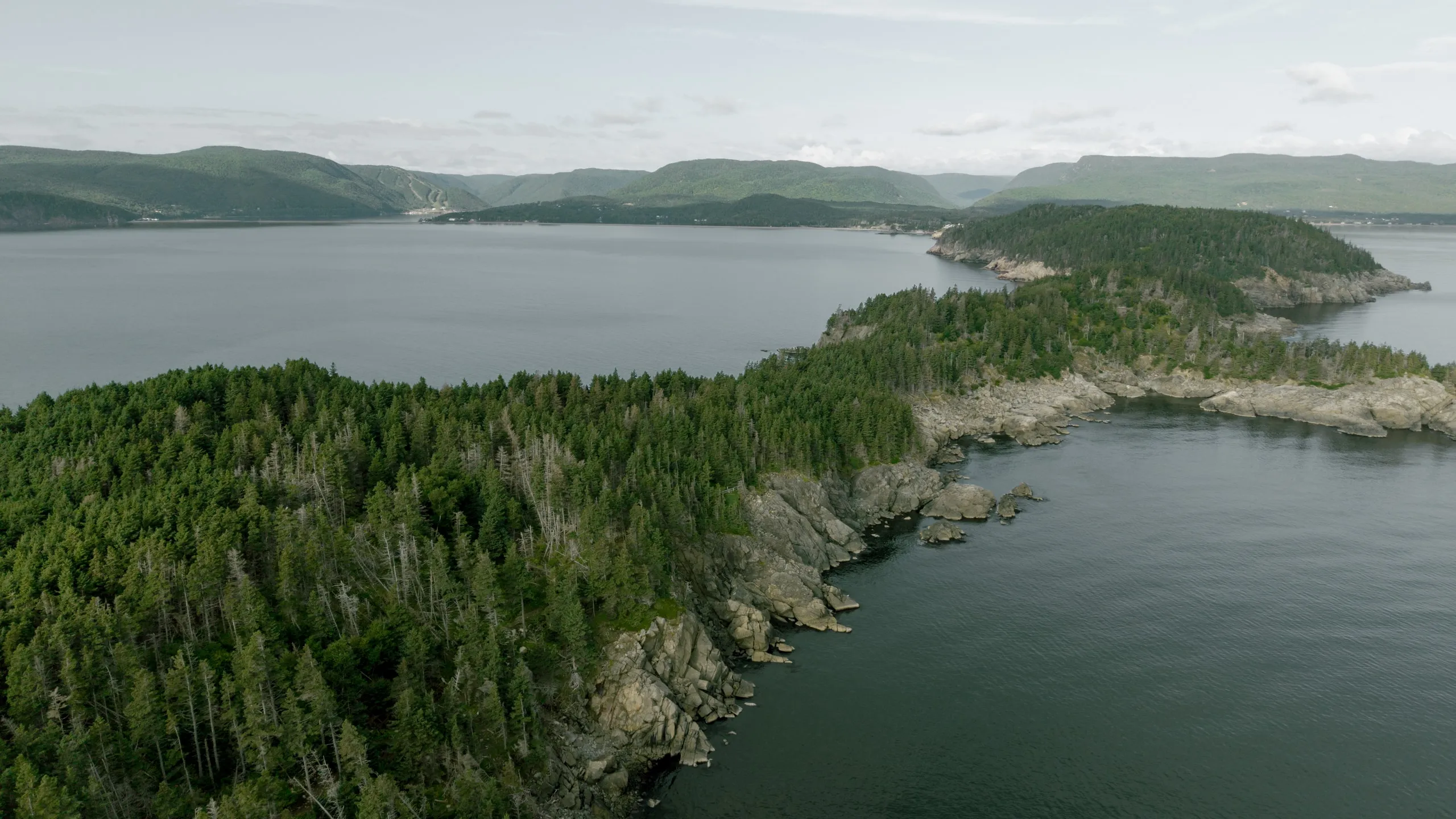 Aerial view of a forested rocky headland stretching into a wide bay, with mountains across the water.