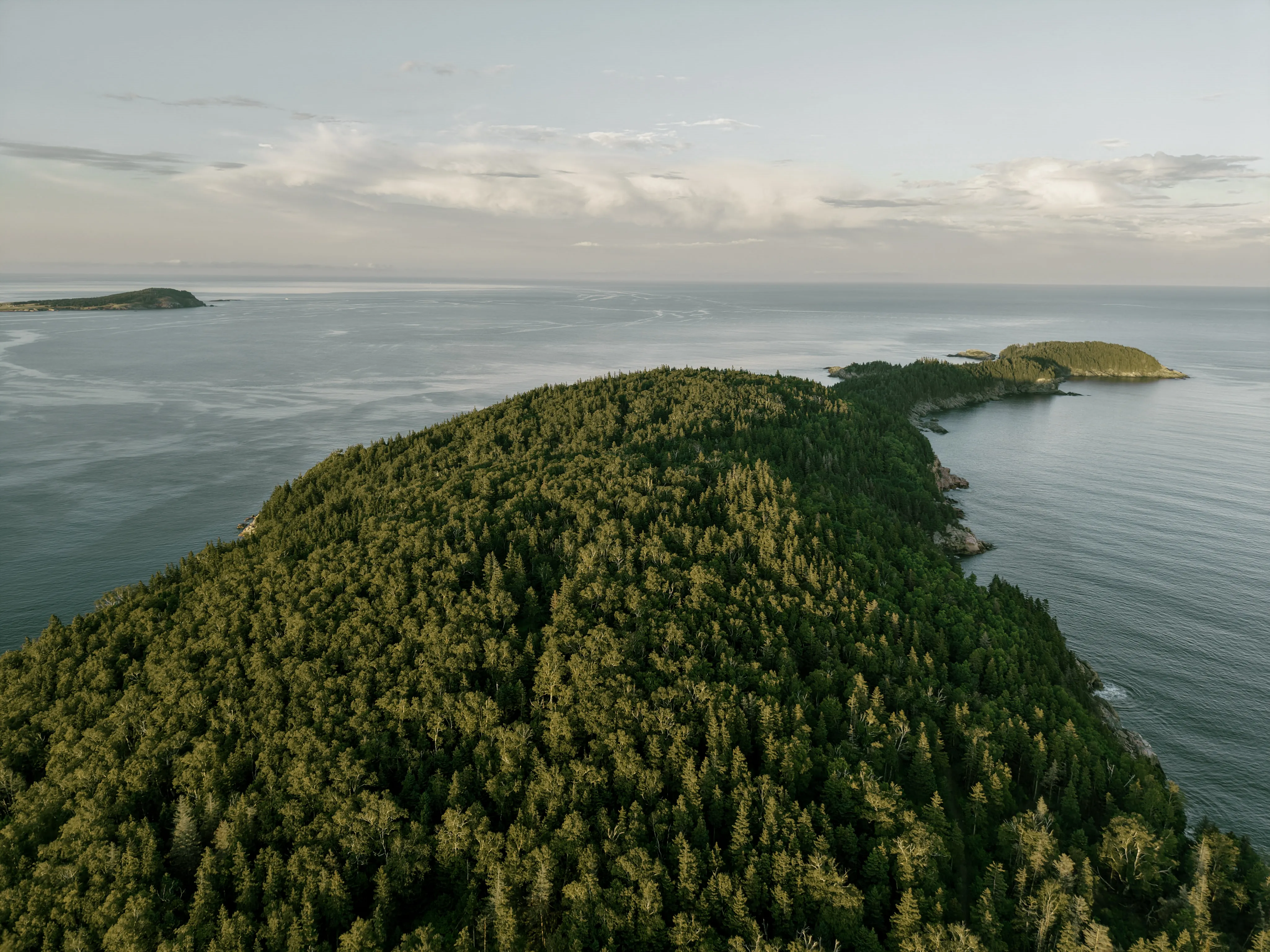 Aerial view of a forested headland meeting the Atlantic under a pale, cloudy sky.