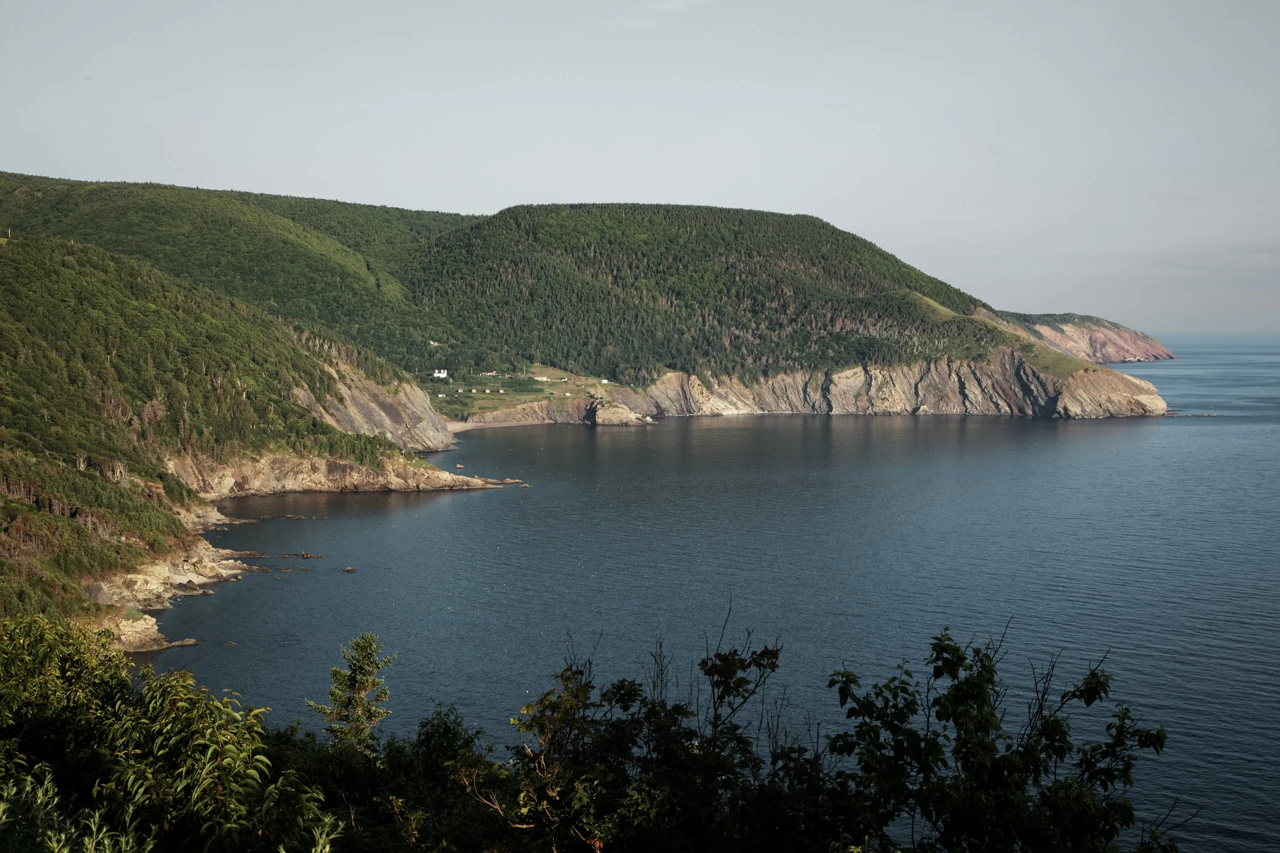 Rocky Cape Breton shoreline at sunset with pines in the foreground.